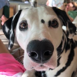 Meet your Posher, Debbie